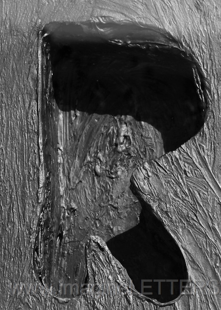 Wall_Art_Alphabet_Photography_Art_ 1897.jpg